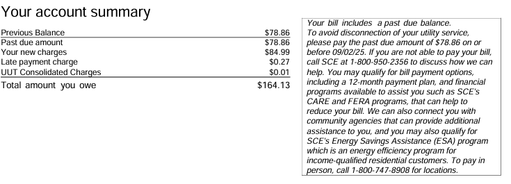 Account summary of a real electric bill: previous balance $78.86, past due amount $78.86, new charges $84.99, late payment charge $0.27 and a total amount owed of $164.13